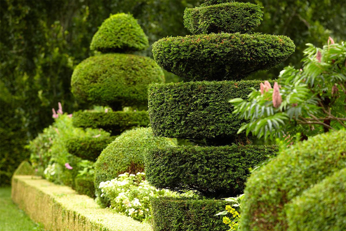 Manicured estate gardens
